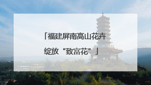 福建屏南高山花卉绽放“致富花”