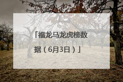 福龙马龙虎榜数据（6月3日）