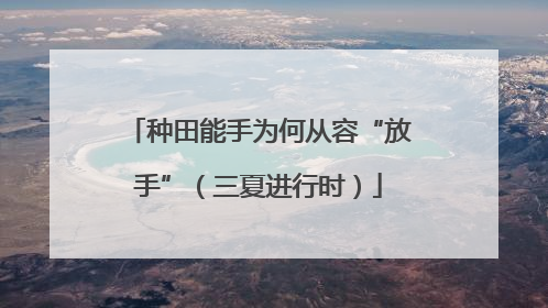 种田能手为何从容“放手”（三夏进行时）