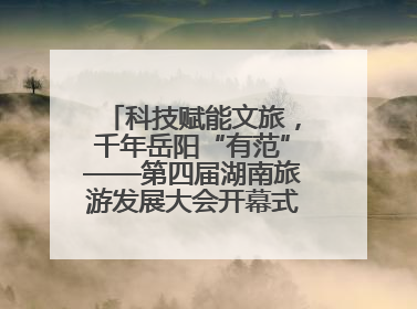 科技赋能文旅，千年岳阳“有范”——第四届湖南旅游发展大会开幕式暨文化旅游推介会侧记