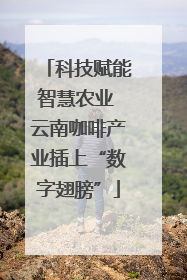 科技赋能智慧农业 云南咖啡产业插上“数字翅膀”