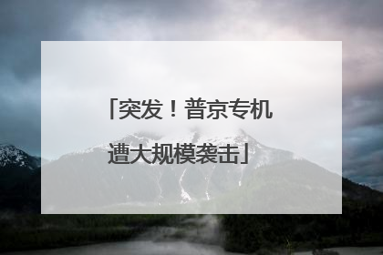突发！普京专机遭大规模袭击