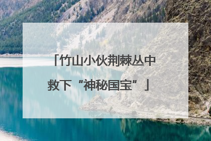 竹山小伙荆棘丛中救下“神秘国宝”