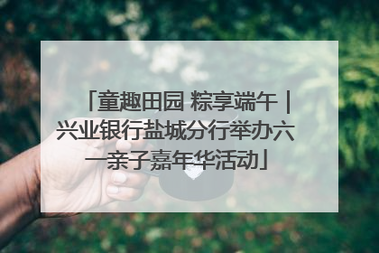 童趣田园 粽享端午｜兴业银行盐城分行举办六一亲子嘉年华活动