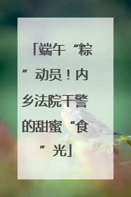端午“粽”动员！内乡法院干警的甜蜜“食”光