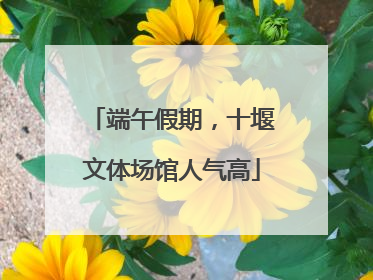 端午假期，十堰文体场馆人气高
