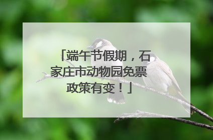 端午节假期，石家庄市动物园免票政策有变！