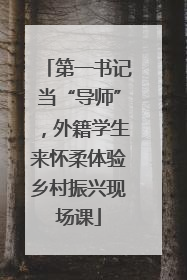 第一书记当“导师”，外籍学生来怀柔体验乡村振兴现场课
