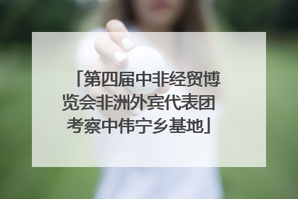 第四届中非经贸博览会非洲外宾代表团考察中伟宁乡基地