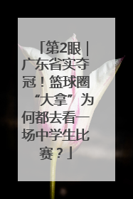 第2眼｜广东省实夺冠！篮球圈“大拿”为何都去看一场中学生比赛？