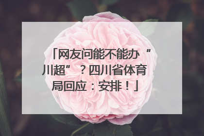 网友问能不能办“川超”？四川省体育局回应：安排！