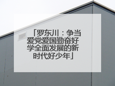 罗东川：争当爱党爱国勤奋好学全面发展的新时代好少年