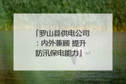 罗山县供电公司：内外兼顾 提升防汛保电能力