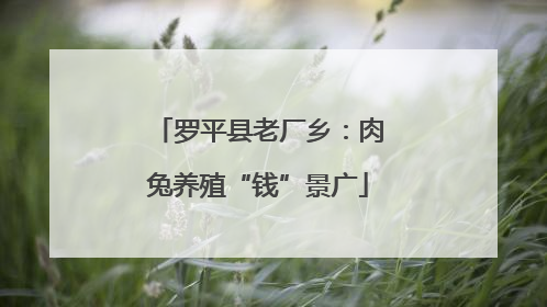 罗平县老厂乡：肉兔养殖“钱”景广