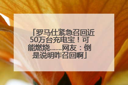 罗马仕紧急召回近50万台充电宝！可能燃烧……网友：倒是说明咋召回啊