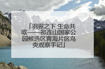羽翼之下 生命共歌——祁连山国家公园候选区青海片区鸟类观察手记
