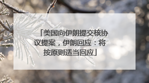 美国向伊朗提交核协议提案，伊朗回应：将按原则适当回应