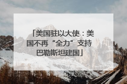 美国驻以大使：美国不再“全力”支持巴勒斯坦建国