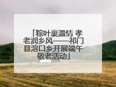 粽叶裹温情 孝老润乡风——祁门县溶口乡开展端午敬老活动