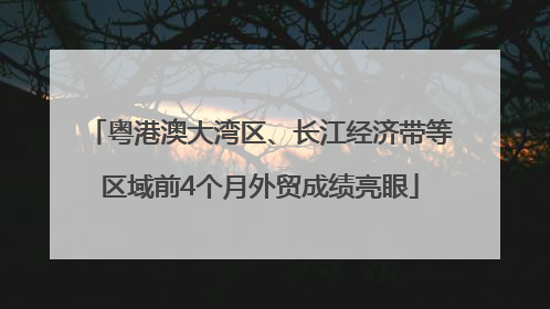 粤港澳大湾区、长江经济带等区域前4个月外贸成绩亮眼