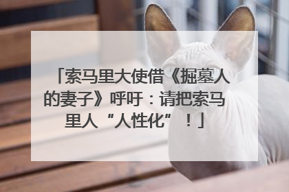 索马里大使借《掘墓人的妻子》呼吁：请把索马里人“人性化”！