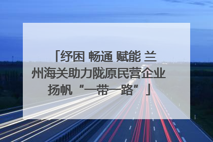 纾困 畅通 赋能 兰州海关助力陇原民营企业扬帆“一带一路”