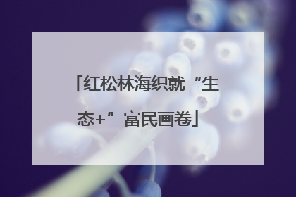红松林海织就“生态+”富民画卷