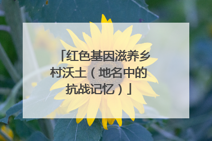 红色基因滋养乡村沃土（地名中的抗战记忆）