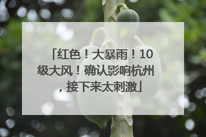 红色！大暴雨！10级大风！确认影响杭州，接下来太刺激
