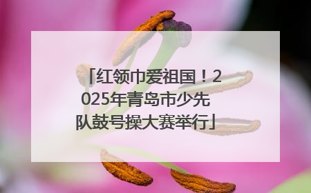红领巾爱祖国！2025年青岛市少先队鼓号操大赛举行