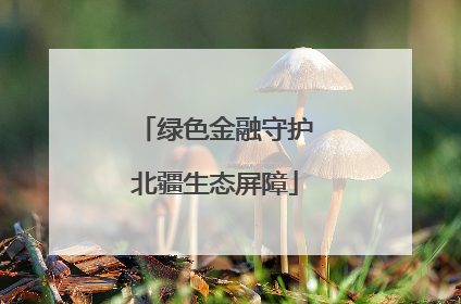绿色金融守护北疆生态屏障