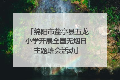 绵阳市盐亭县五龙小学开展全国无烟日主题班会活动