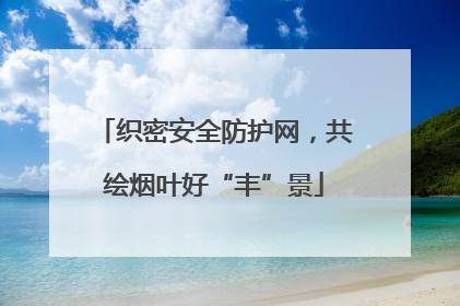 织密安全防护网，共绘烟叶好“丰”景