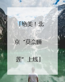 绝美！北京“莫奈睡莲”上线