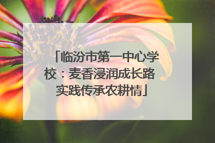 临汾市第一中心学校：麦香浸润成长路 实践传承农耕情