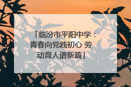 临汾市平阳中学：青春向党践初心 劳动育人谱新篇