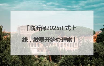 临沂保2025正式上线，缴费开始办理啦