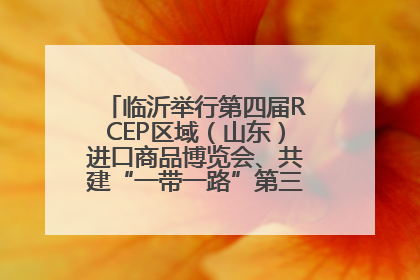 临沂举行第四届RCEP区域（山东）进口商品博览会、共建“一带一路”第三届临沂商城国际采购商大会新闻发布会