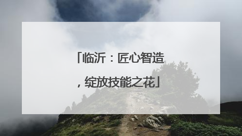 临沂：匠心智造，绽放技能之花