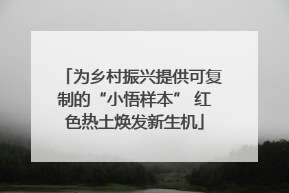 为乡村振兴提供可复制的“小悟样本” 红色热土焕发新生机
