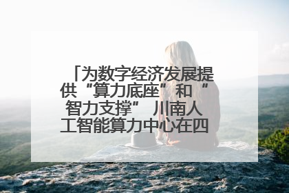 为数字经济发展提供“算力底座”和“智力支撑” 川南人工智能算力中心在四川泸州启动