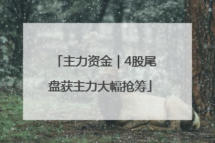 主力资金｜4股尾盘获主力大幅抢筹