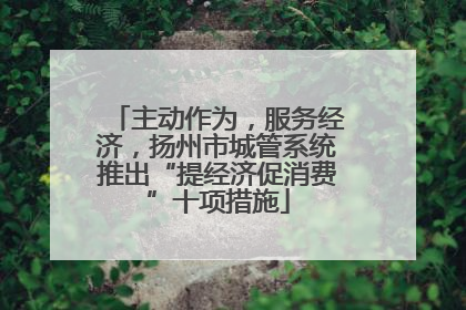 主动作为，服务经济，扬州市城管系统推出“提经济促消费”十项措施