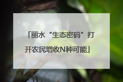 丽水“生态密码”打开农民增收N种可能