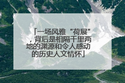 一场风雅“荷展”，背后是相隔千里两地的渊源和令人感动的历史人文情怀