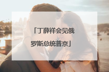丁薛祥会见俄罗斯总统普京