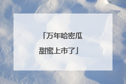 万年哈密瓜甜蜜上市了