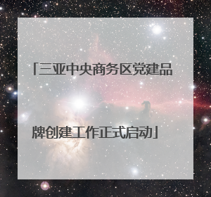 三亚中央商务区党建品牌创建工作正式启动