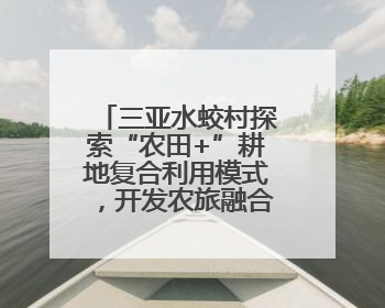 三亚水蛟村探索“农田+”耕地复合利用模式，开发农旅融合项目