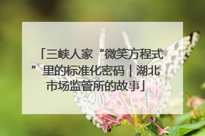 三峡人家“微笑方程式”里的标准化密码｜湖北市场监管所的故事